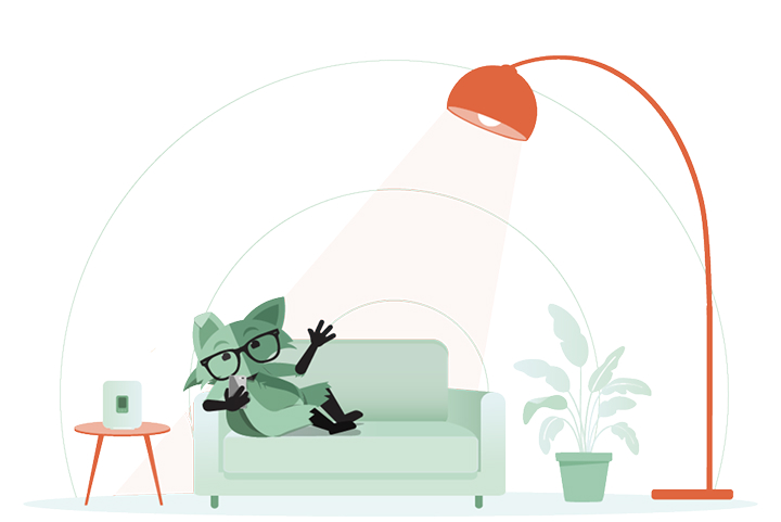 Mint fox home internet