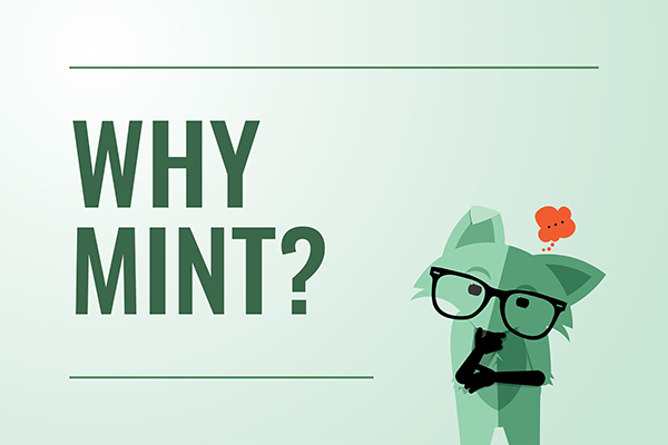 Why Mint